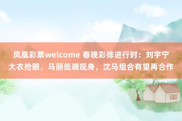 凤凰彩票welcome 春晚彩排进行时：刘宇宁大衣抢眼，马丽低调现身，沈马组合有望再合作