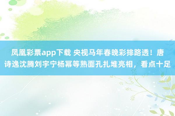 凤凰彩票app下载 央视马年春晚彩排路透！唐诗逸沈腾刘宇宁杨幂等熟面孔扎堆亮相，看点十足