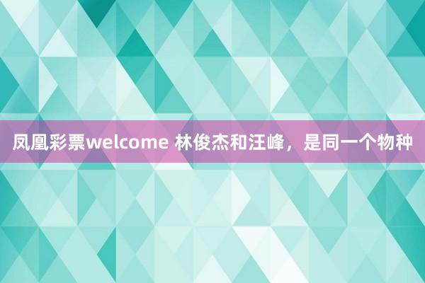 凤凰彩票welcome 林俊杰和汪峰，是同一个物种
