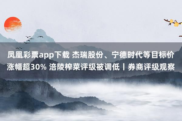 凤凰彩票app下载 杰瑞股份、宁德时代等目标价涨幅超30% 涪陵榨菜评级被调低丨券商评级观察