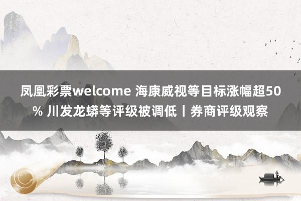 凤凰彩票welcome 海康威视等目标涨幅超50% 川发龙蟒等评级被调低丨券商评级观察