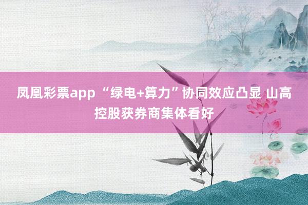 凤凰彩票app “绿电+算力”协同效应凸显 山高控股获券商集体看好