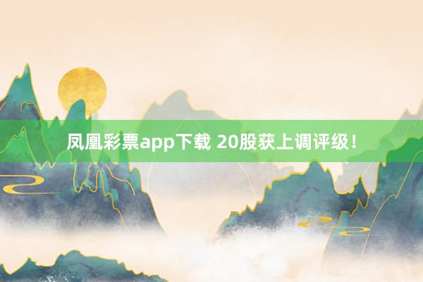 凤凰彩票app下载 20股获上调评级！