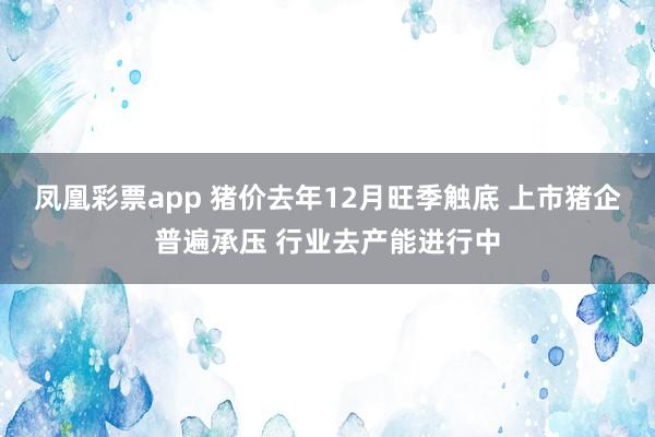 凤凰彩票app 猪价去年12月旺季触底 上市猪企普遍承压 行业去产能进行中