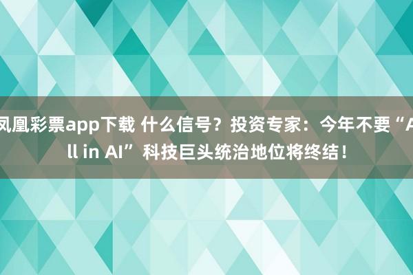 凤凰彩票app下载 什么信号？投资专家：今年不要“All in AI” 科技巨头统治地位将终结！