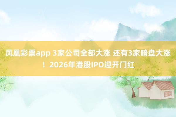 凤凰彩票app 3家公司全部大涨 还有3家暗盘大涨！2026年港股IPO迎开门红