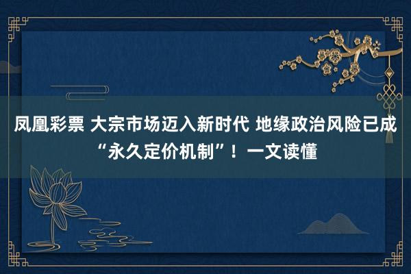 凤凰彩票 大宗市场迈入新时代 地缘政治风险已成“永久定价机制”！一文读懂