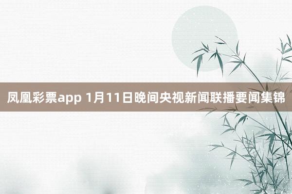 凤凰彩票app 1月11日晚间央视新闻联播要闻集锦