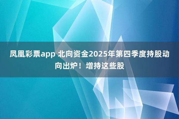 凤凰彩票app 北向资金2025年第四季度持股动向出炉！增持这些股