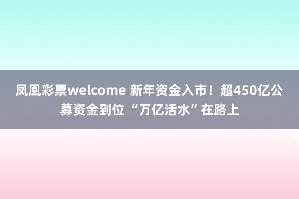 凤凰彩票welcome 新年资金入市！超450亿公募资金到位 “万亿活水”在路上