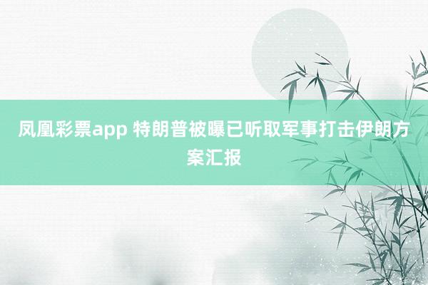 凤凰彩票app 特朗普被曝已听取军事打击伊朗方案汇报