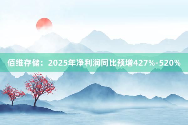 佰维存储：2025年净利润同比预增427%-520%