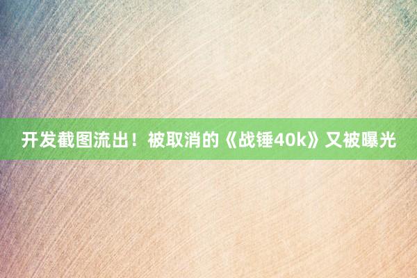 开发截图流出！被取消的《战锤40k》又被曝光