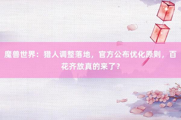 魔兽世界：猎人调整落地，官方公布优化原则，百花齐放真的来了？