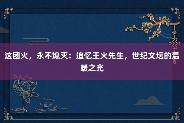 这团火，永不熄灭：追忆王火先生，世纪文坛的温暖之光