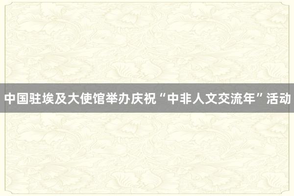 中国驻埃及大使馆举办庆祝“中非人文交流年”活动