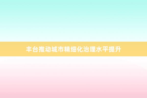 丰台推动城市精细化治理水平提升