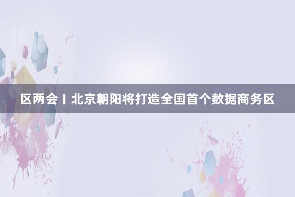 区两会〡北京朝阳将打造全国首个数据商务区