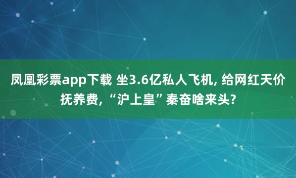 凤凰彩票app下载 坐3.6亿私人飞机, 给网红天价抚养费, “沪上皇”秦奋啥来头?