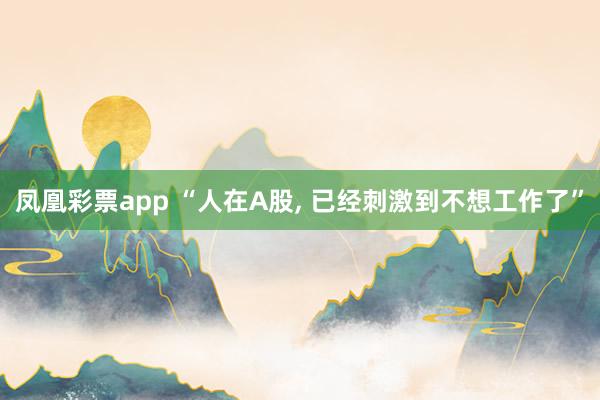 凤凰彩票app “人在A股, 已经刺激到不想工作了”