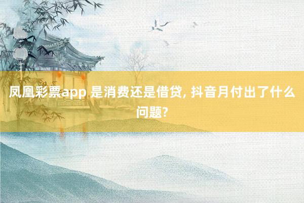 凤凰彩票app 是消费还是借贷, 抖音月付出了什么问题?