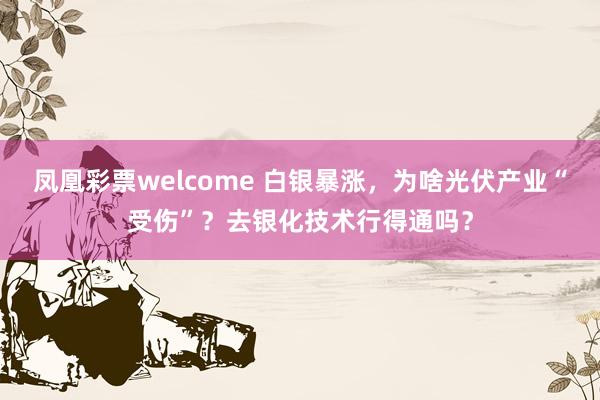 凤凰彩票welcome 白银暴涨，为啥光伏产业“受伤”？去银化技术行得通吗？