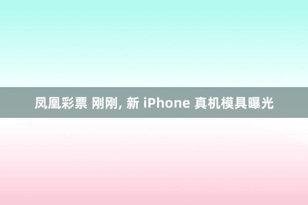 凤凰彩票 刚刚, 新 iPhone 真机模具曝光