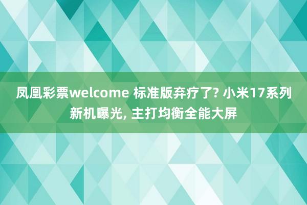 凤凰彩票welcome 标准版弃疗了? 小米17系列新机曝光, 主打均衡全能大屏