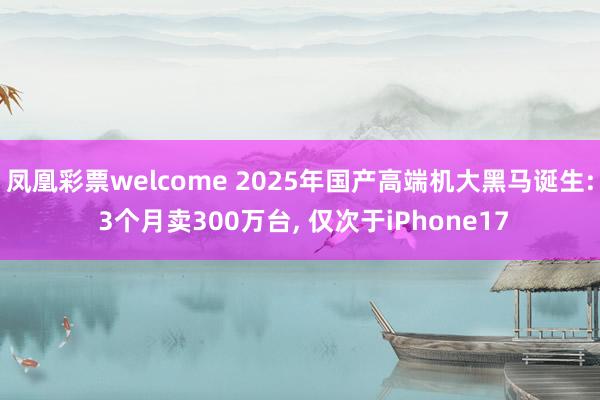凤凰彩票welcome 2025年国产高端机大黑马诞生: 3个月卖300万台, 仅次于iPhone17
