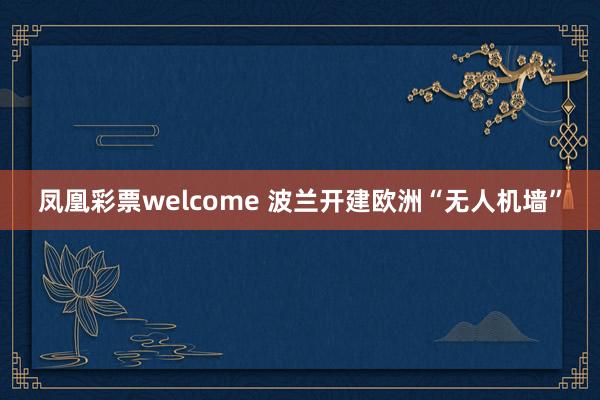 凤凰彩票welcome 波兰开建欧洲“无人机墙”
