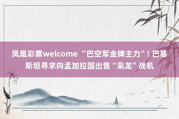 凤凰彩票welcome “巴空军金牌主力”! 巴基斯坦寻求向孟加拉国出售“枭龙”战机