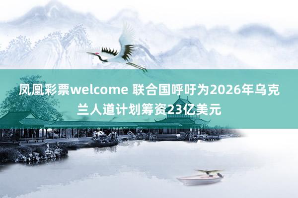 凤凰彩票welcome 联合国呼吁为2026年乌克兰人道计划筹资23亿美元