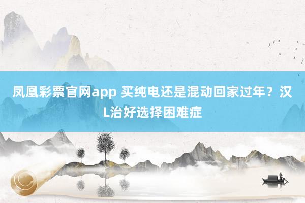 凤凰彩票官网app 买纯电还是混动回家过年？汉L治好选择困难症