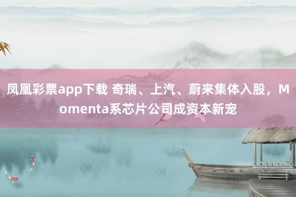 凤凰彩票app下载 奇瑞、上汽、蔚来集体入股，Momenta系芯片公司成资本新宠