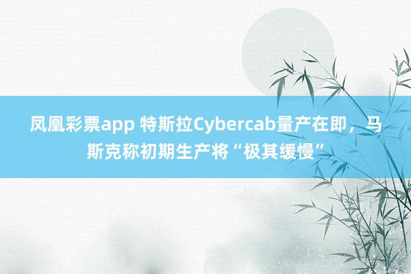 凤凰彩票app 特斯拉Cybercab量产在即，马斯克称初期生产将“极其缓慢”