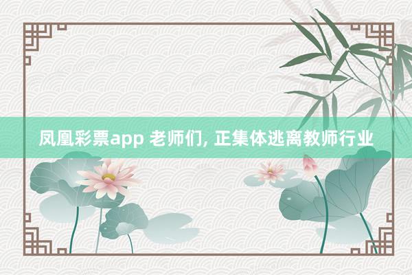 凤凰彩票app 老师们， 正集体逃离教师行业
