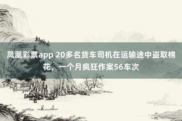 凤凰彩票app 20多名货车司机在运输途中盗取棉花,一个月疯狂作案56车次