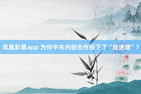 凤凰彩票app 为何中东内部合作按下了“加速键”?