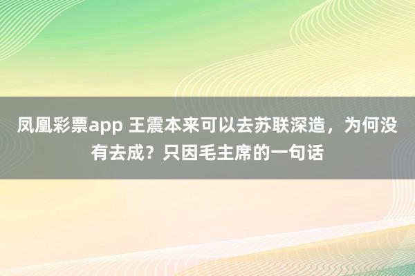 凤凰彩票app 王震本来可以去苏联深造，为何没有去成？只因毛主席的一句话
