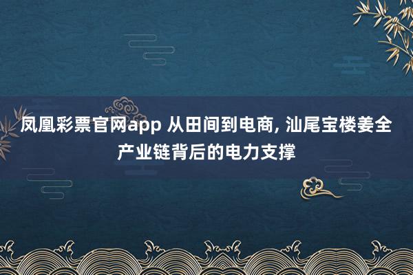 凤凰彩票官网app 从田间到电商, 汕尾宝楼姜全产业链背后的电力支撑
