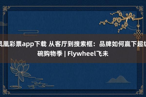 凤凰彩票app下载 从客厅到搜索框:品牌如何赢下超级碗购物季 | Flywheel飞未