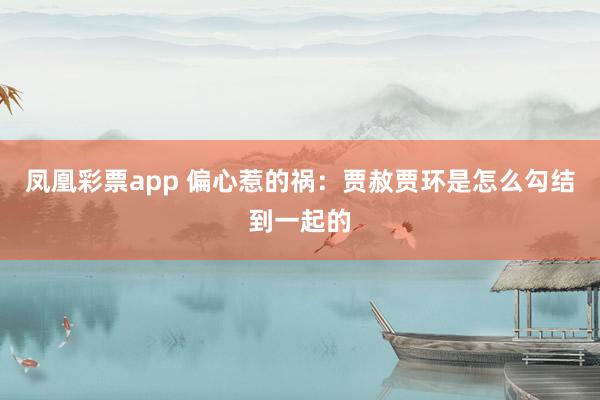 凤凰彩票app 偏心惹的祸:贾赦贾环是怎么勾结到一起的