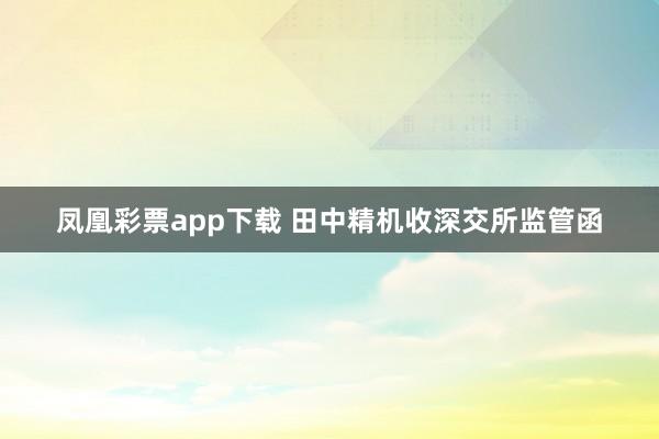 凤凰彩票app下载 田中精机收深交所监管函