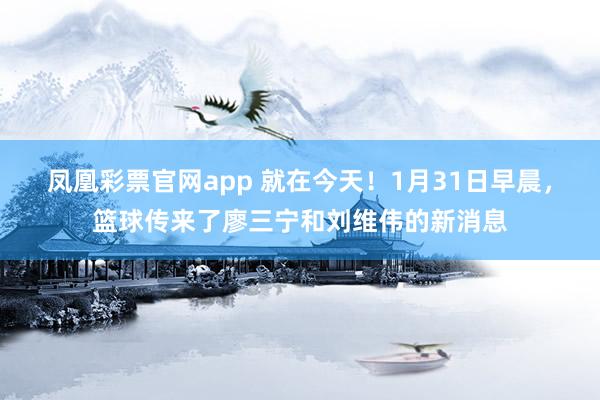 凤凰彩票官网app 就在今天!1月31日早晨,篮球传来了廖三宁和刘维伟的新消息