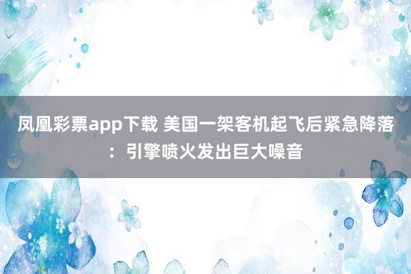凤凰彩票app下载 美国一架客机起飞后紧急降落：引擎喷火发出巨大噪音