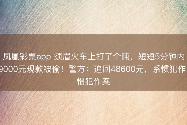 凤凰彩票app 须眉火车上打了个盹，短短5分钟内49000元现款被偷！警方：追回48600元，系惯犯作案
