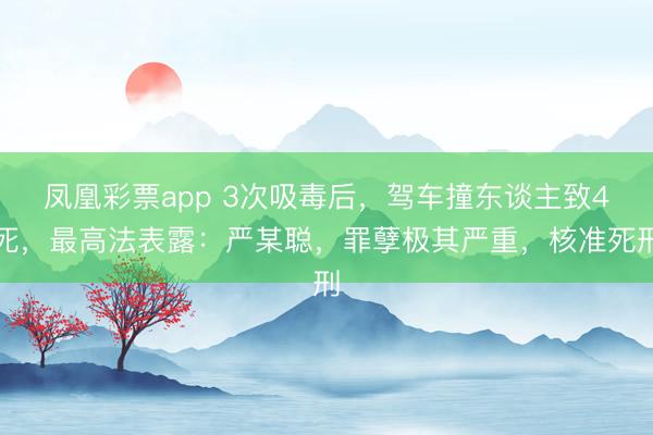 凤凰彩票app 3次吸毒后,驾车撞东谈主致4死,最高法表露:严某聪,罪孽极其严重,核准死刑