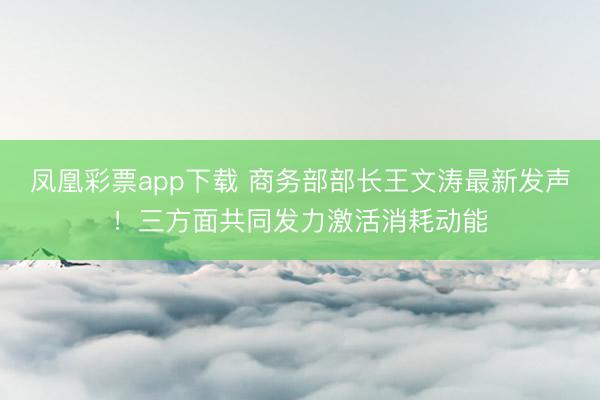 凤凰彩票app下载 商务部部长王文涛最新发声！三方面共同发力激活消耗动能